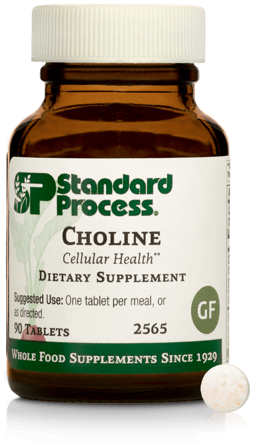 SP Choline 90 tablets