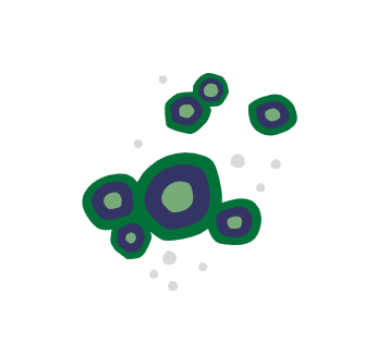 ERMI Plus Swiffer Test with Fusarium spp. & Aspergillus Parasiticus Added