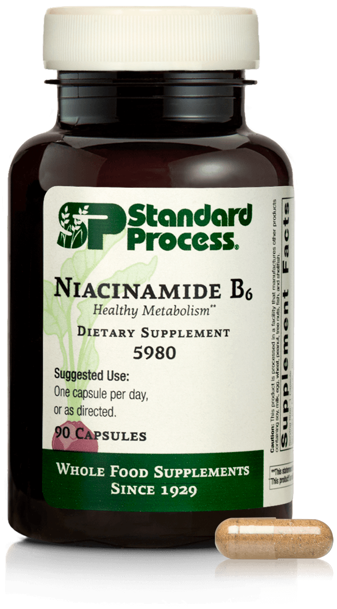 SP Niacinamide B6 90 capsules