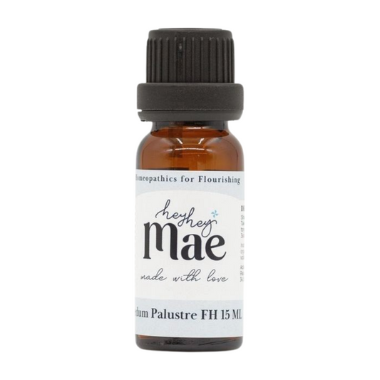 Ledum Palustre FH 15ml