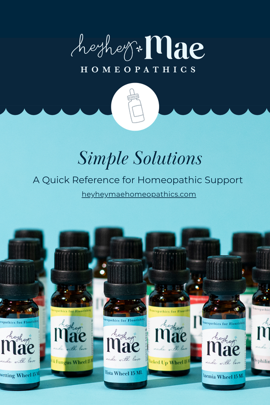 Simple Solutions: A Quick Reference for Homeopathic Care Printed Booklet