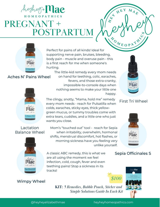 Pregnant + Postpartum Support Kit